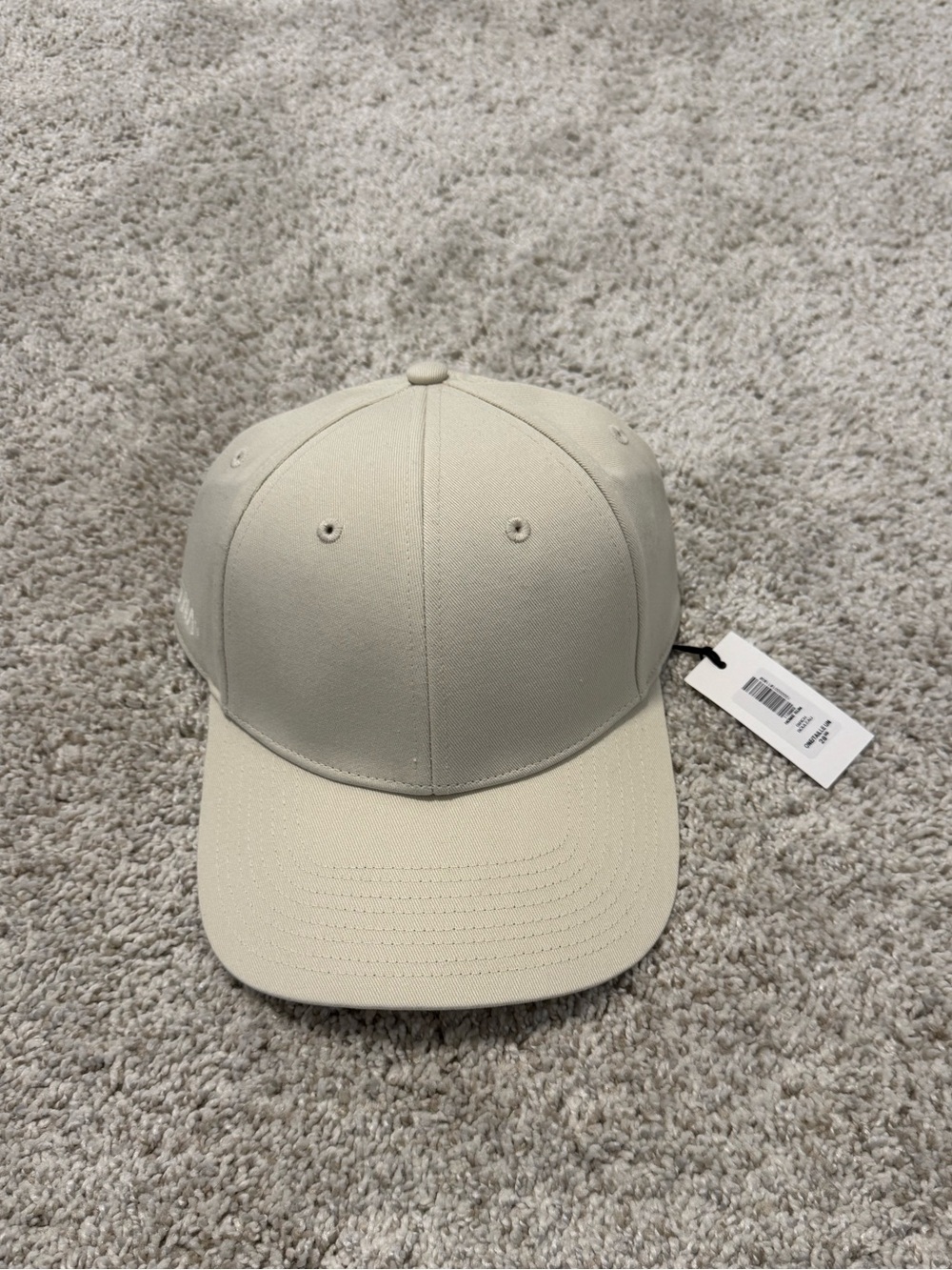Aritzia Hat